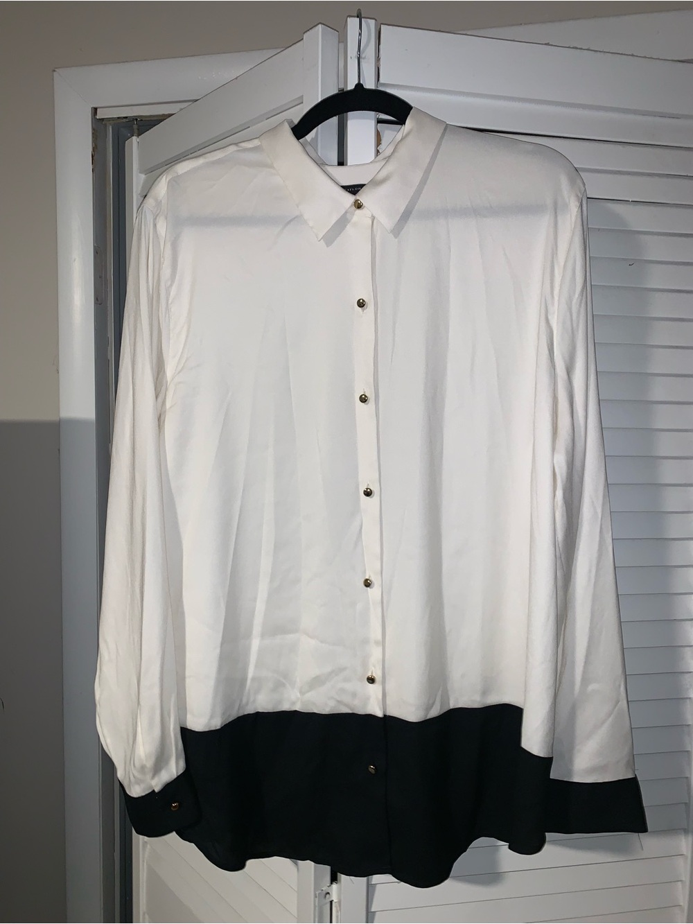 Ann Taylor Plus Size Women’s Colorblocked Collared Button Front Shirt